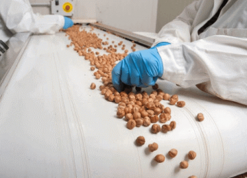 Lợi ích hàng đầu của việc sử dụng hệ thống băng tải trong ngành thực phẩm