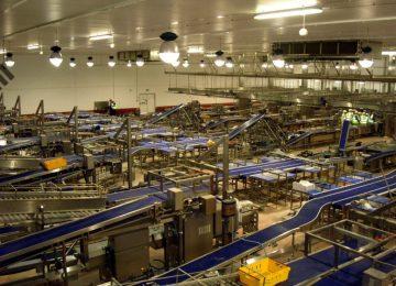 Các thông số kỹ thuật của băng tải cần xem xét