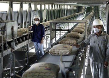 Hệ thống băng tải dùng cho nhà máy sản xuất xi măng