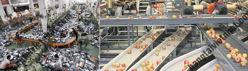 z5319015538522_557a10fbdf149a074fbec4c66dcaa7bb